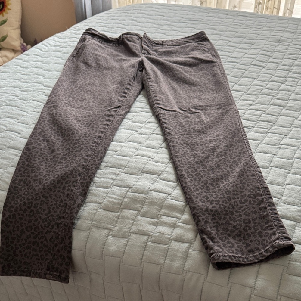 Market & Spruce Gray Pants